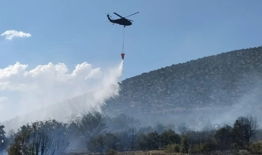 Isparta'da orman yangını