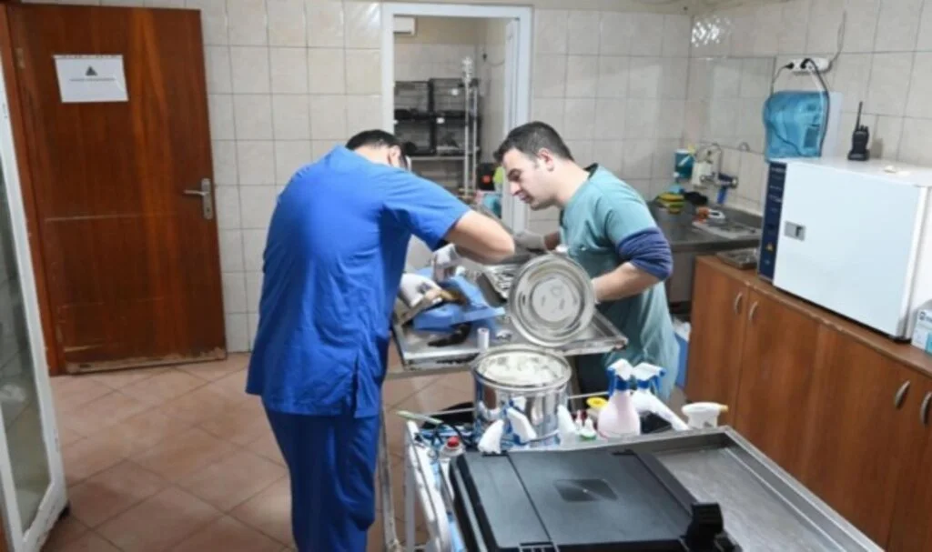 Kemer'de Temmuz ayında 175 hayvan kısırlaştırıldı