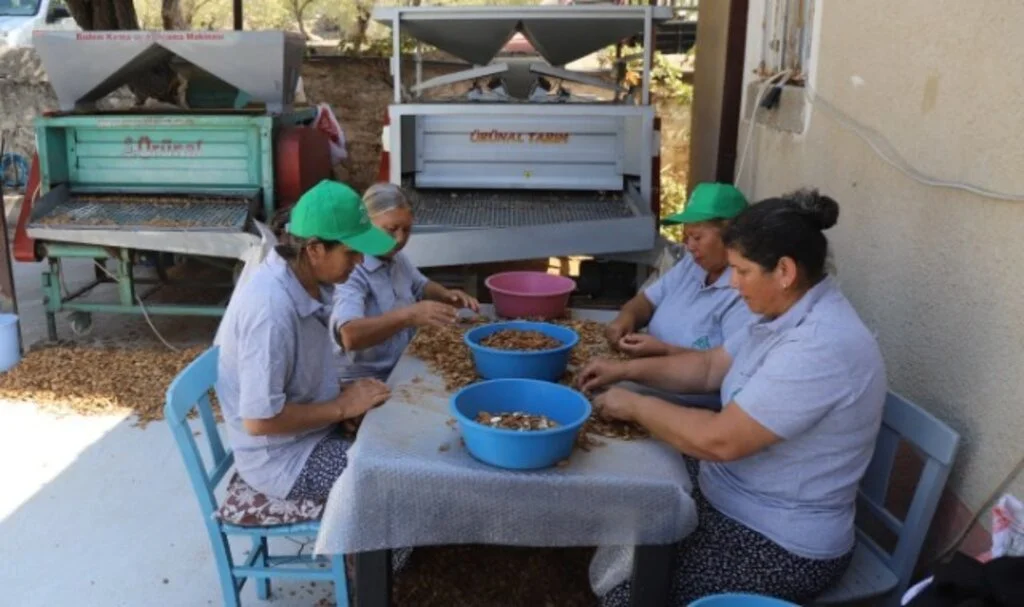 Muğla Tarımı Dünyaya Açılıyor