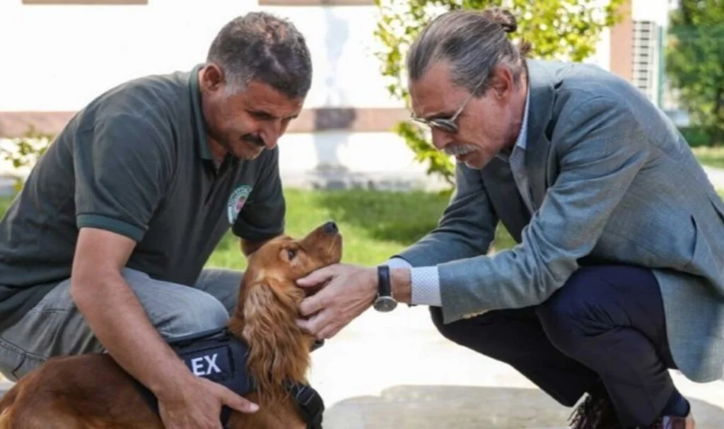 Etimesgut’ta 5 sokak köpeği daha belediyede işe başladı: Erdal Beşikçioğlu duyurdu