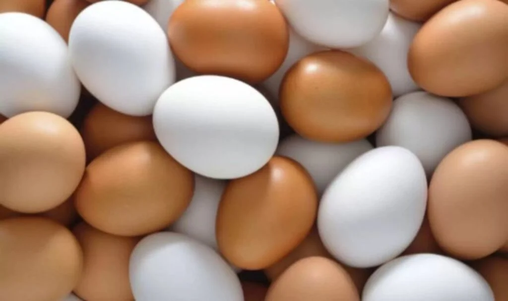 Yumurtalarda ‘Son Tüketim Tarihi’ yerine ‘Tavsiye Edilen Tüketim Tarihi’ geliyor