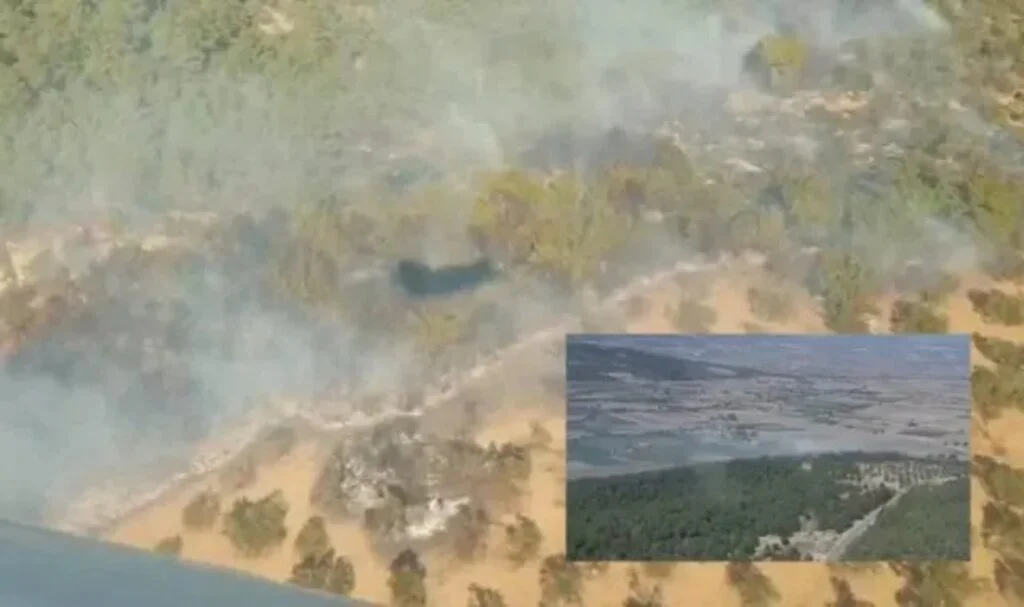 İzmir’deki tarım alanında yangın
