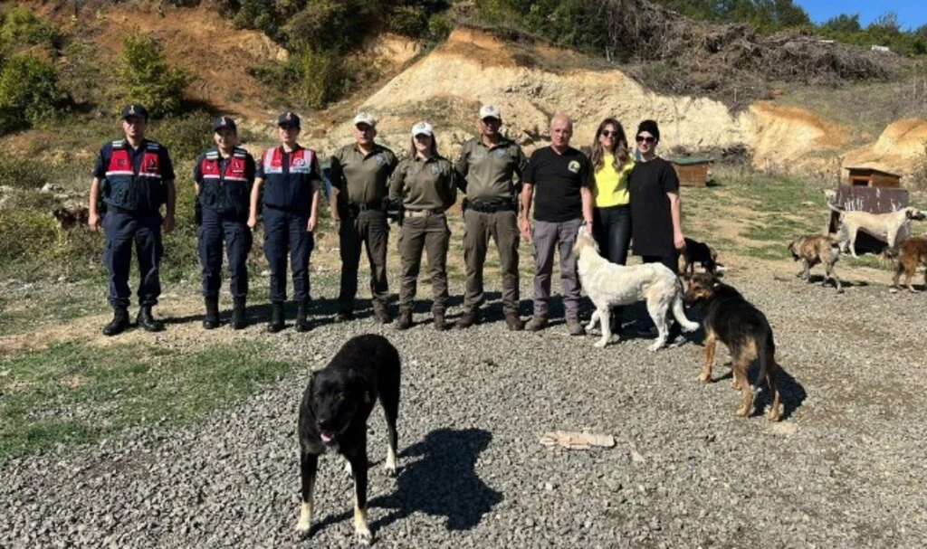 Samsun'da Hayvanları Koruma Günü Kapsamında Sokak Hayvanlarına Destek