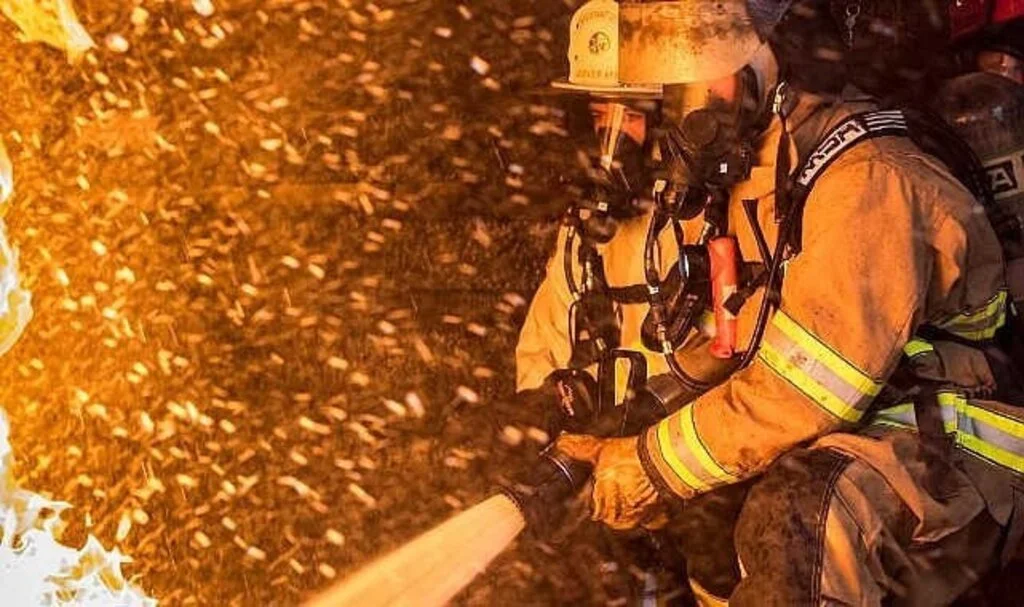 Çanakkale Biga’da orman yangını
