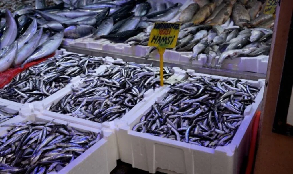 Samsun'da Balık Fiyatlarında Son Durum