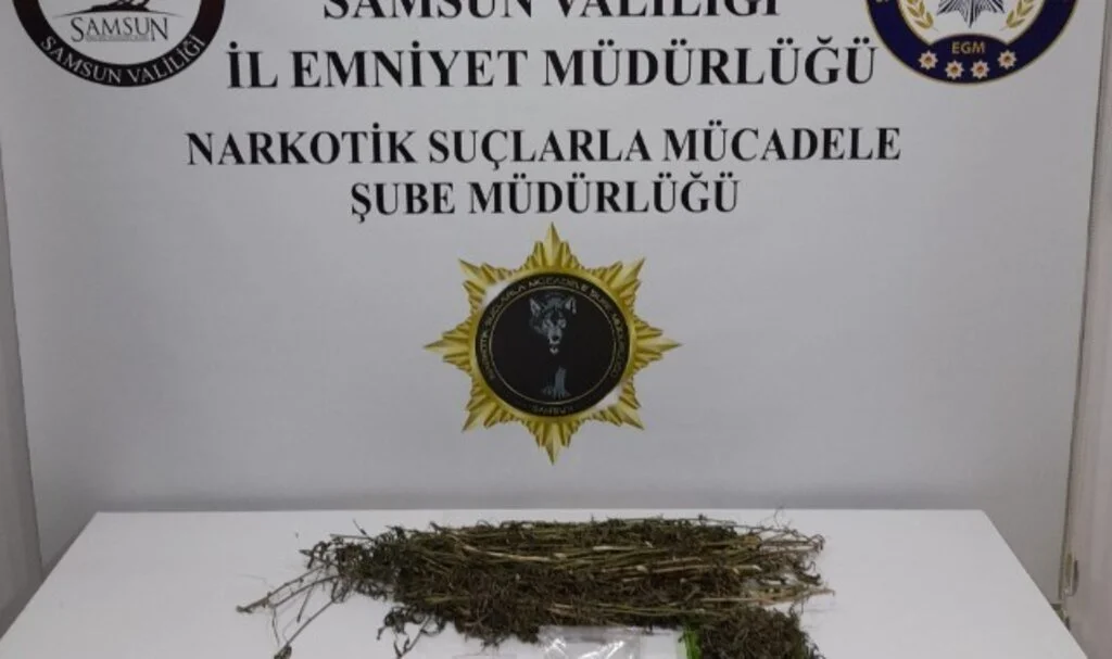 Samsun Emniyeti Çarşamba’da Uyuşturucu Operasyonu Düzenledi