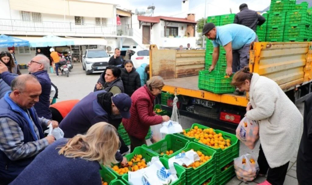 Bodrum Mandalin Festivaline Yoğun İlgi