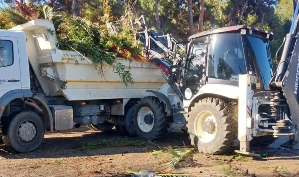 İlkadım’da ağaçlar, kent estetiği için budanıyor