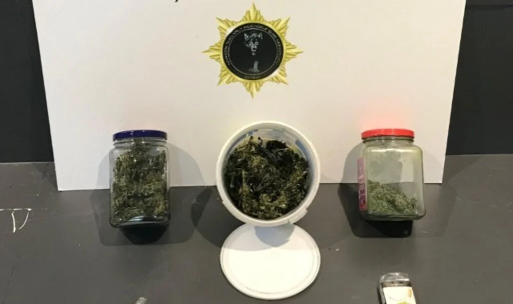 İlkadım'da Operasyon: Polis 175 Gram Esrar Ele Geçirdi