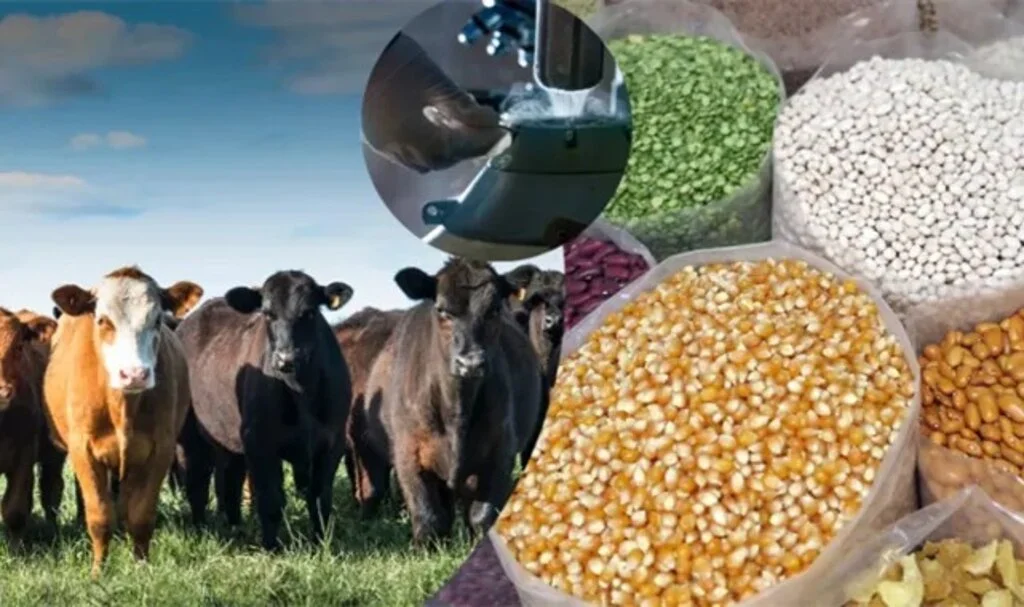 2 milyar 298 milyon tarımsal destekleme ödemesi çiftçilerin hesaplarına aktarıldı