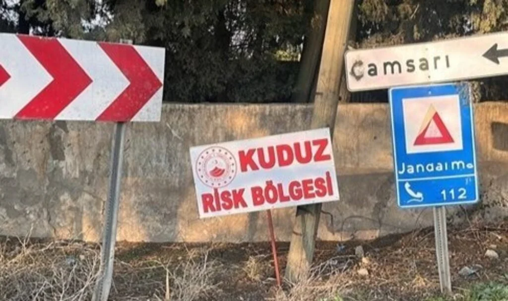 Hatay’da kuduz vakası: Bir mahalle karantinaya alındı