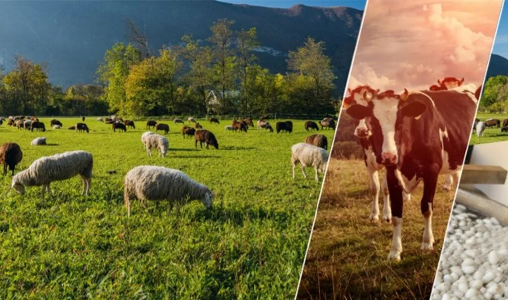 Tarım Sigortalarında Yeni Dönem: Üreticilere Özel Avantajlar