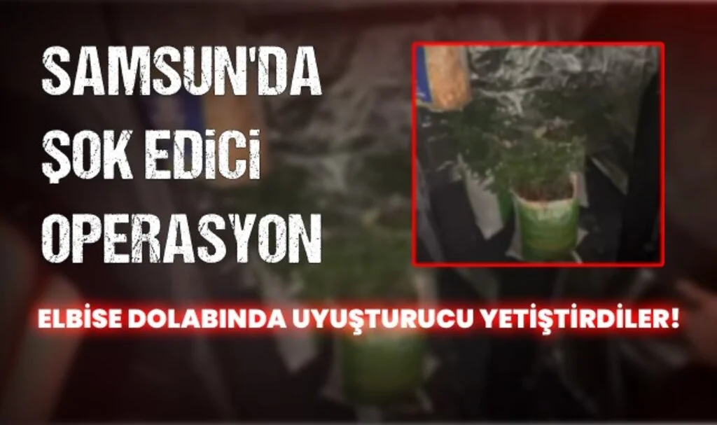 Samsun'da Elbise Dolabında Kenevir Serası!