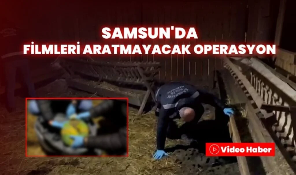 Samsun'da Filmleri Aratmayacak Operasyon: Tavuk Kümesi Görünümlü Uyuşturucu Deposu!