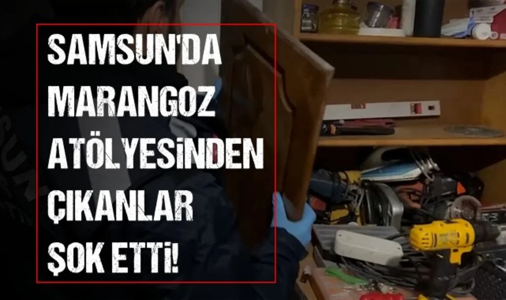 Samsun'da Marangoz Atölyesinden Çıkanlar Şok Etti!