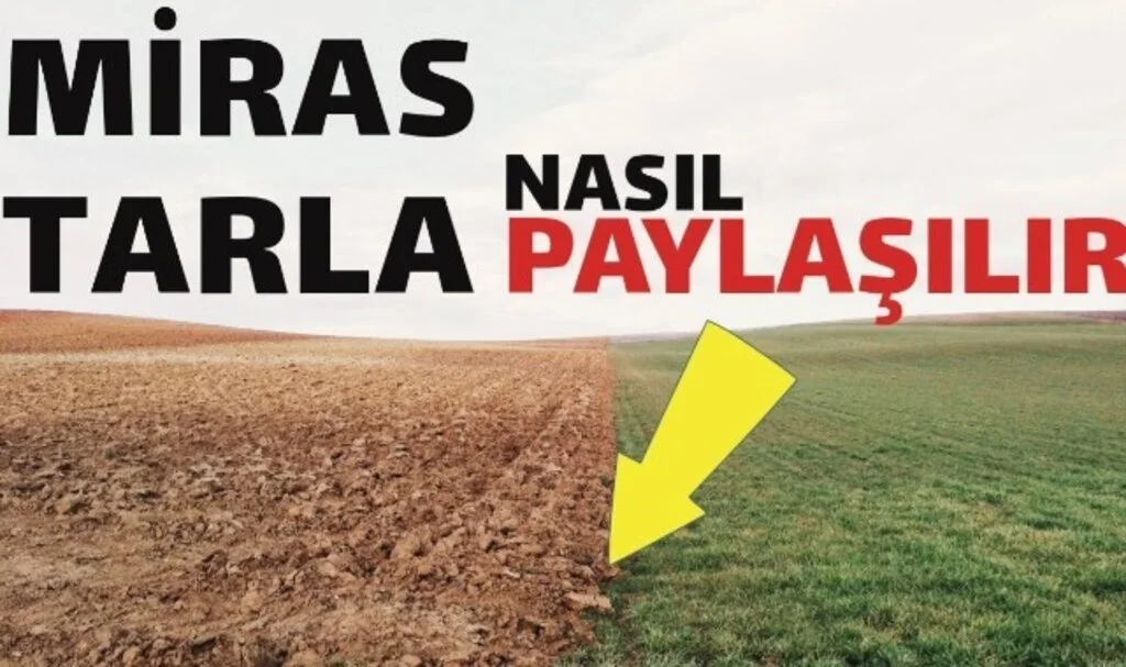 Babadan Miras Kalan Hissemi Nasıl Satarım