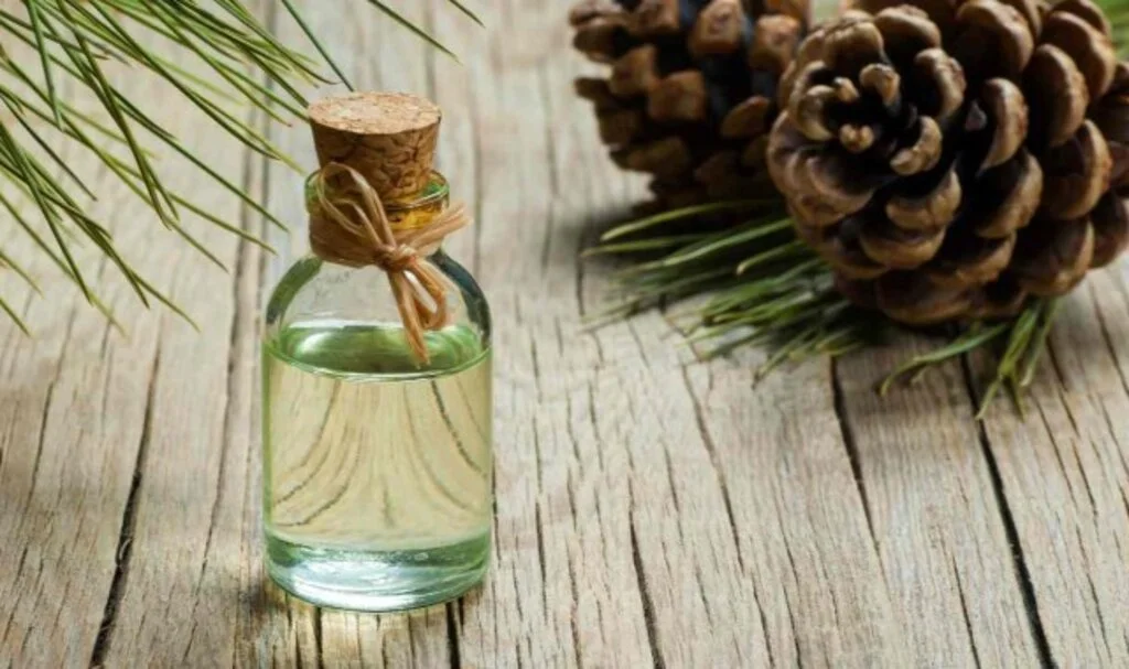 Cam Terebentin Yağı Saça Nasıl Uygulanır