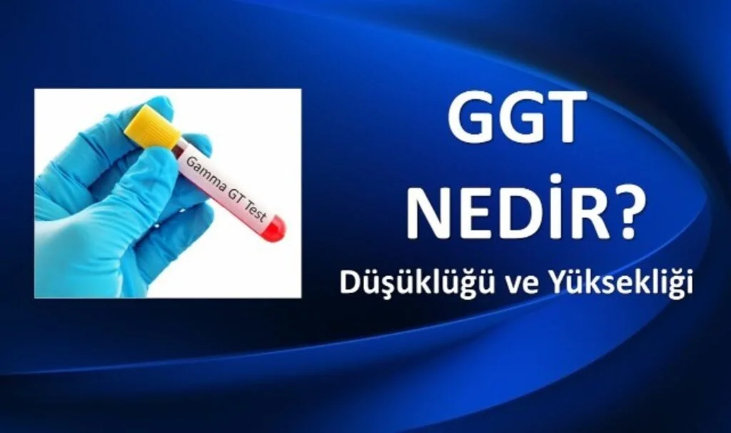 Gama Glutamil Transferaz Yüksekliği Nedir