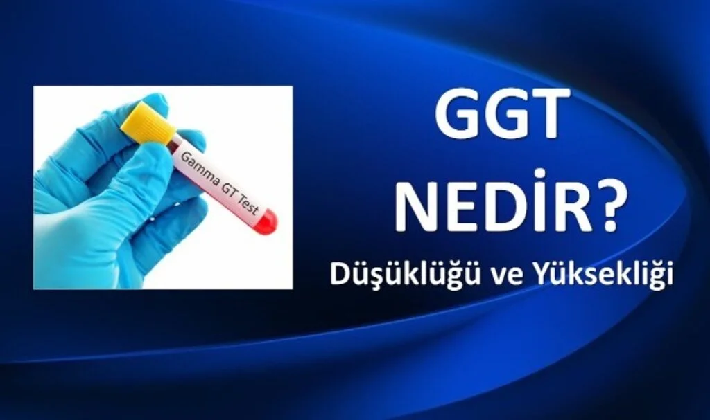 Gamma Glutamyl Transferase Yüksekliği Nedir