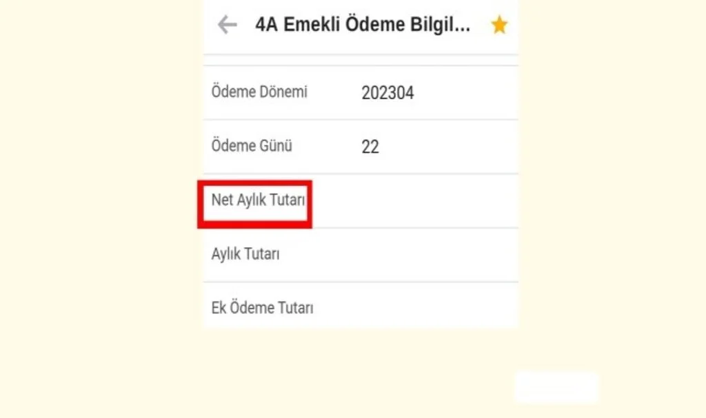 Net Aylık Tutarı Birikmiş Ödeme Tutarı Nedir
