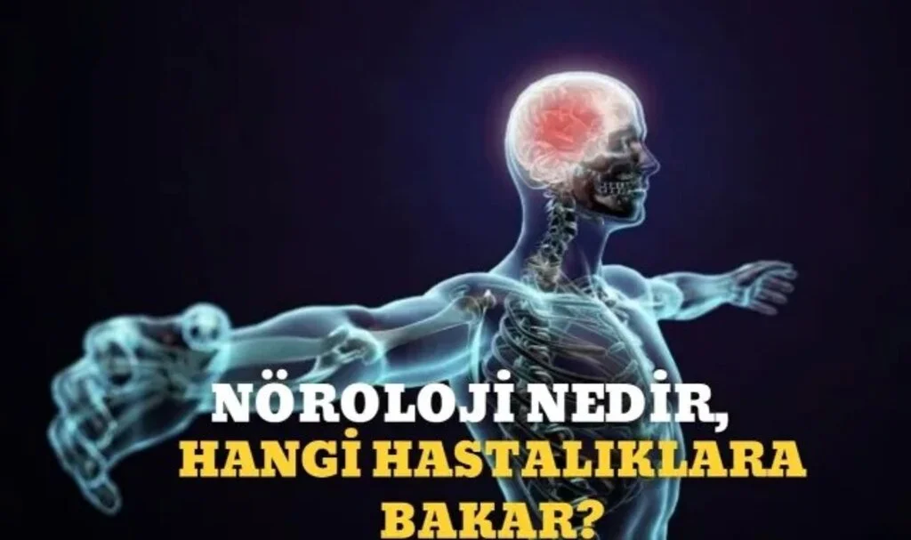 Nöroloji Nedir, Hangi Hastalıklara Bakar