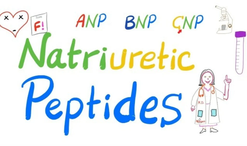 Prob Natriüretik Peptid Nedir