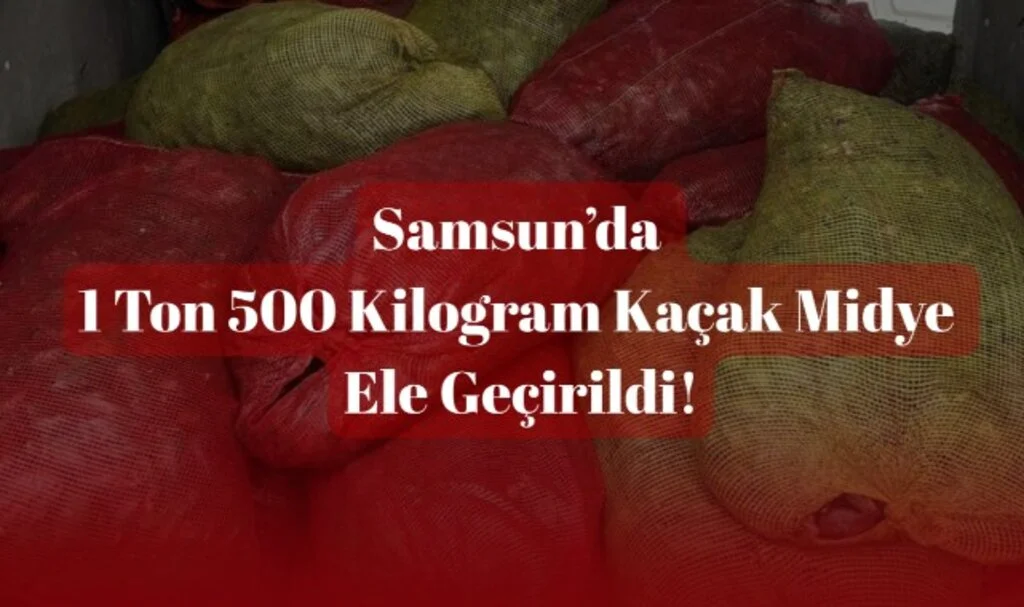 Samsun'da 1 Ton 500 Kilogram Kaçak Midye Ele Geçirildi!