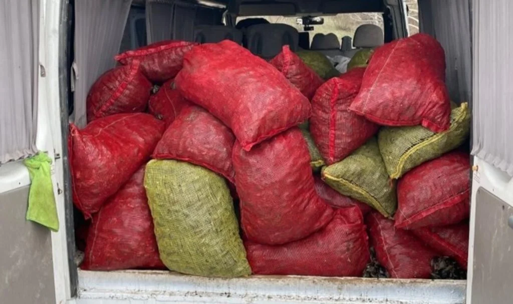Samsun'da 2 Ton Kaçak Midye Ele Geçirildi!