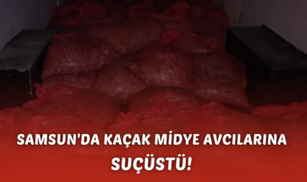 Samsun'da Kaçak Midye Avcılarına Suçüstü! 1,5 Ton Midye Ele Geçirildi