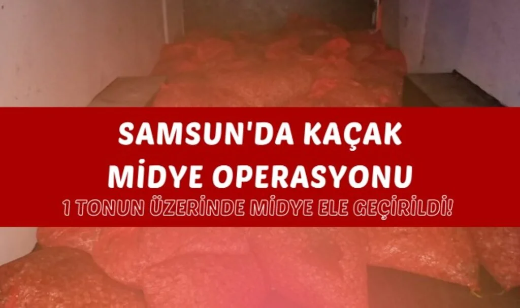 Samsun'da Kaçak Midye Operasyonu: 1 Tonun Üzerinde Midye Ele Geçirildi!