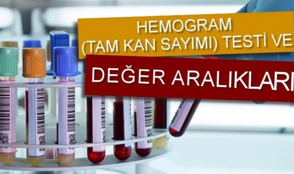Tam Kan Sayımı (Hemogram Nedir)