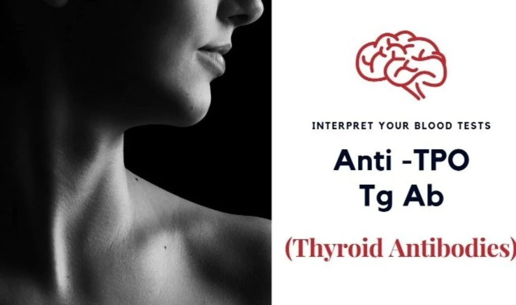 Tiroid Peroksidaz Antikorları (Anti Tpo) Nedir