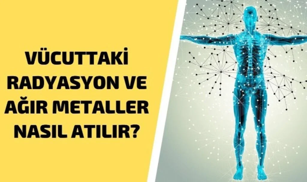 Vücuttaki Radyasyon Nasıl Atılır Saraçoğlu
