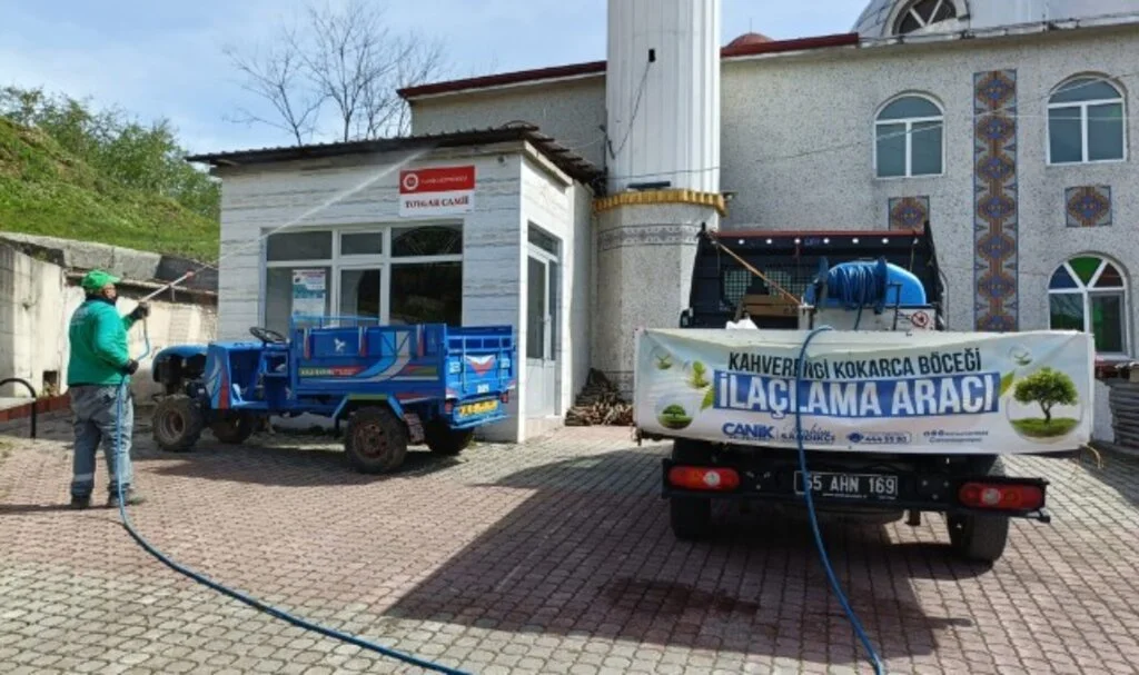 Canik'te Kokarca Böceği Alarmı! Belediye Harekete Geçti