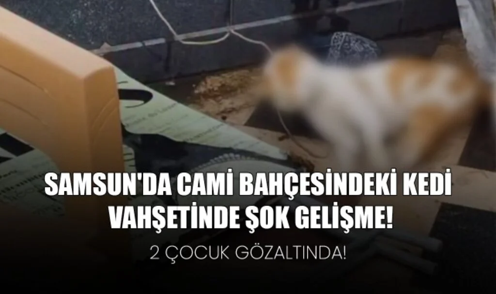 Samsun'da Cami Bahçesindeki Kedi Vahşetinde Şok Gelişme! 2 Çocuk Gözaltında!