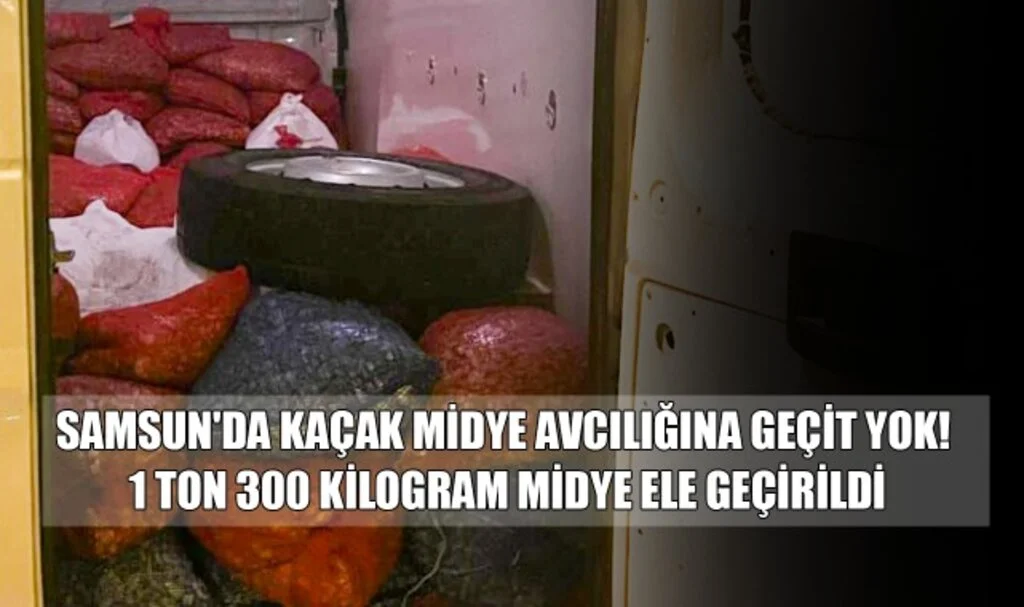 Samsun'da Kaçak Midye Avcılığına Geçit Yok! 1 Ton 300 Kilogram Midye Ele Geçirildi