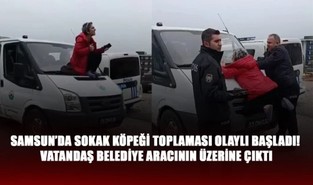 Samsun'da Sokak Köpeği Toplaması Olaylı Başladı! Vatandaş Belediye Aracının Üzerine Çıktı