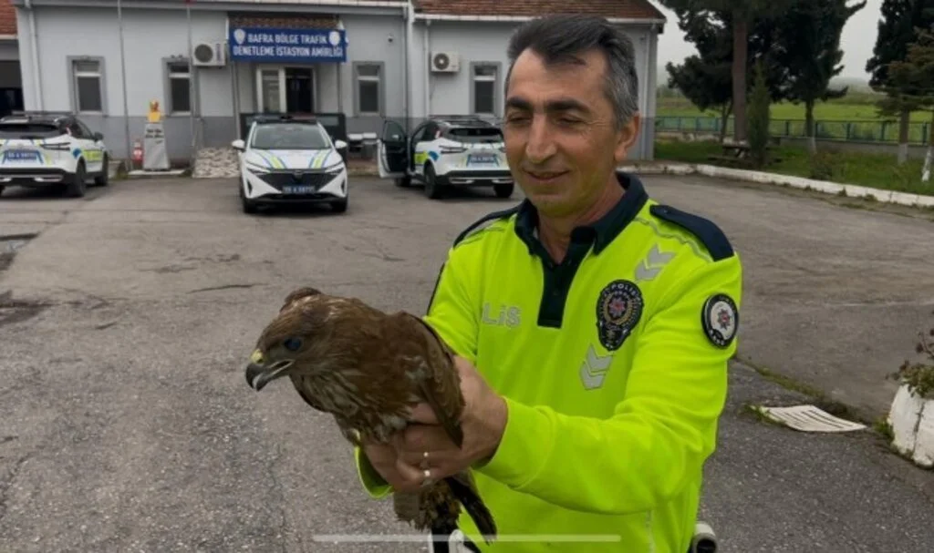 Samsun Polisi Yaralı Doğan Kuşunu Kurtardı