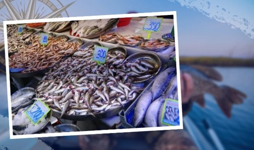 Sezon Erken Kapanıyor! Karadeniz'de Balık Çeşitliliği Azaldı