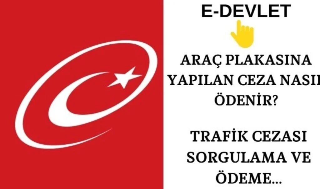 Sürücü Belgesine Yazılan Ceza Nasıl Ödenir
