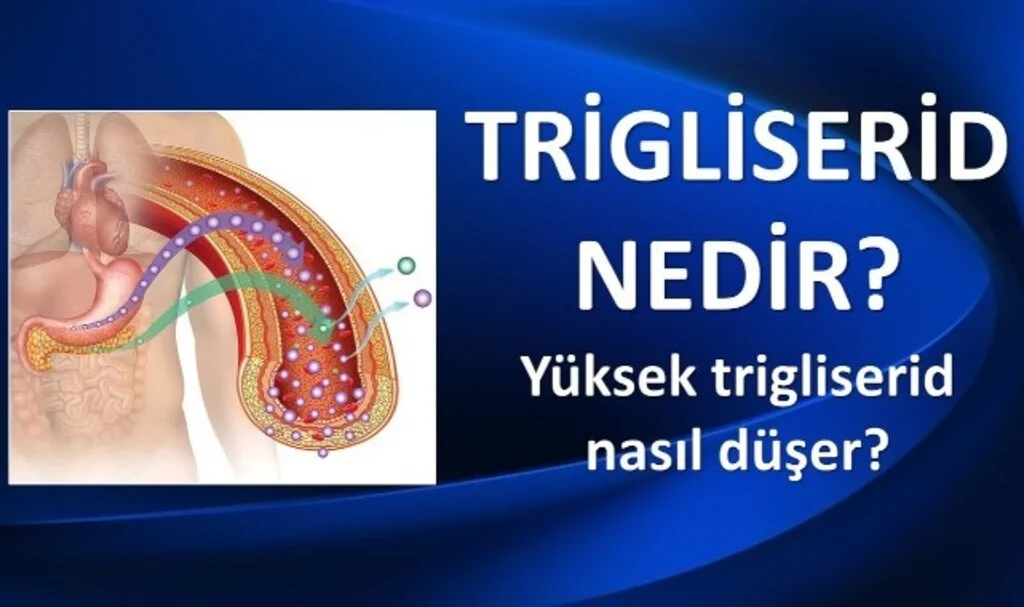 Trigliserid Yüksekliği Nasıl Düşürülür