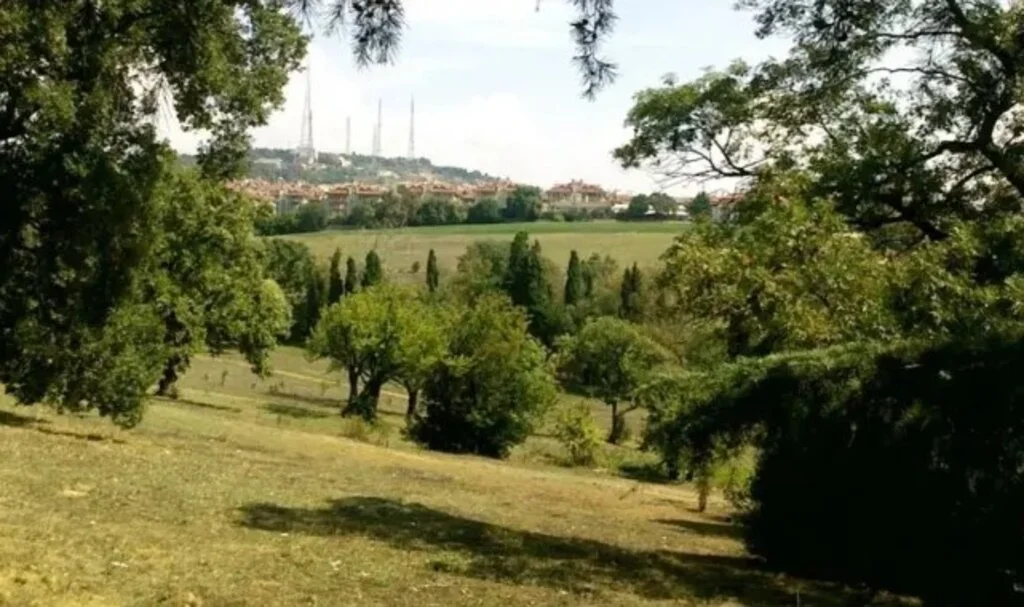 Validebağ Ek Hizmet Binası Nasıl Gidilir