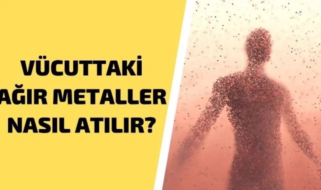 Vücuttan Yağ Atıldığını Nasıl Anlarız