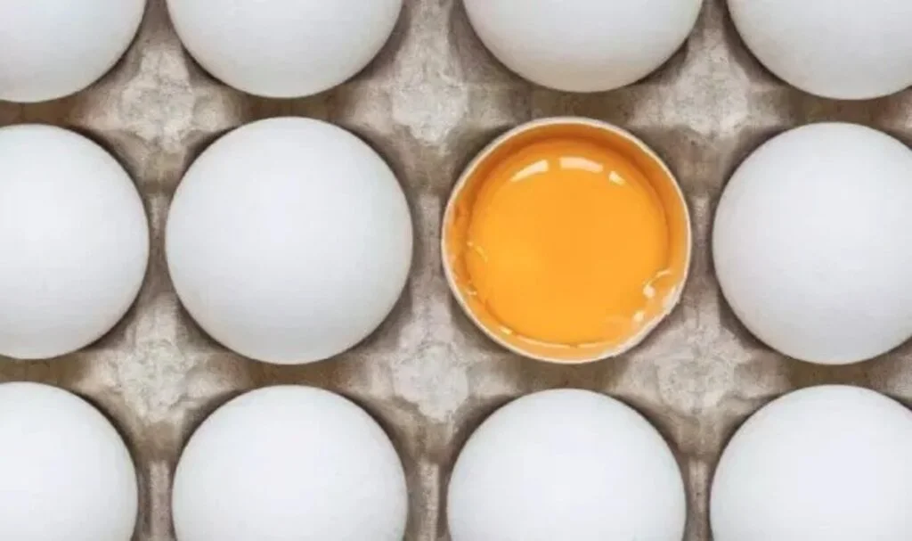  Yumurtanın Bozuk Olduğu Nasıl Anlaşılır
