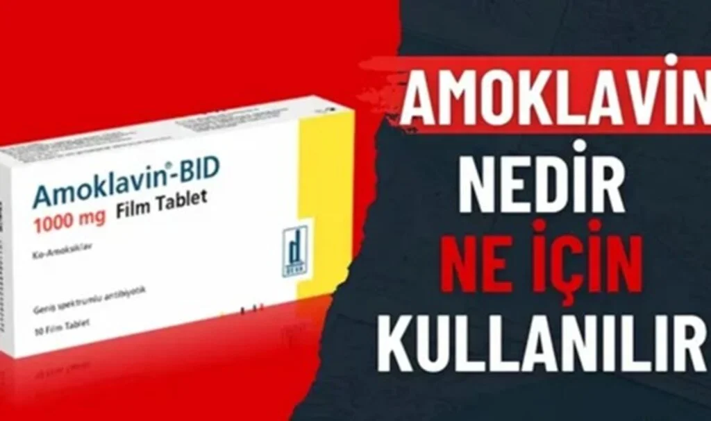 Amoklavin 1000 Mg Ne İçin Kullanılır