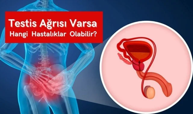 Cinsel Organın Ucunda Ağrı Nasıl Geçer