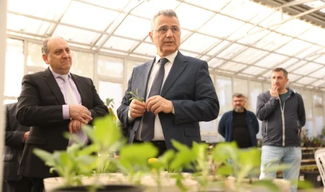 İlkadım'da Lavanta Rüzgarı: 2.500 Çelik Yetiştirildi