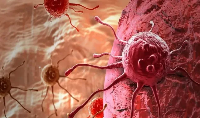 Kanser Olup Olmadığımızı Nasıl Anlarız