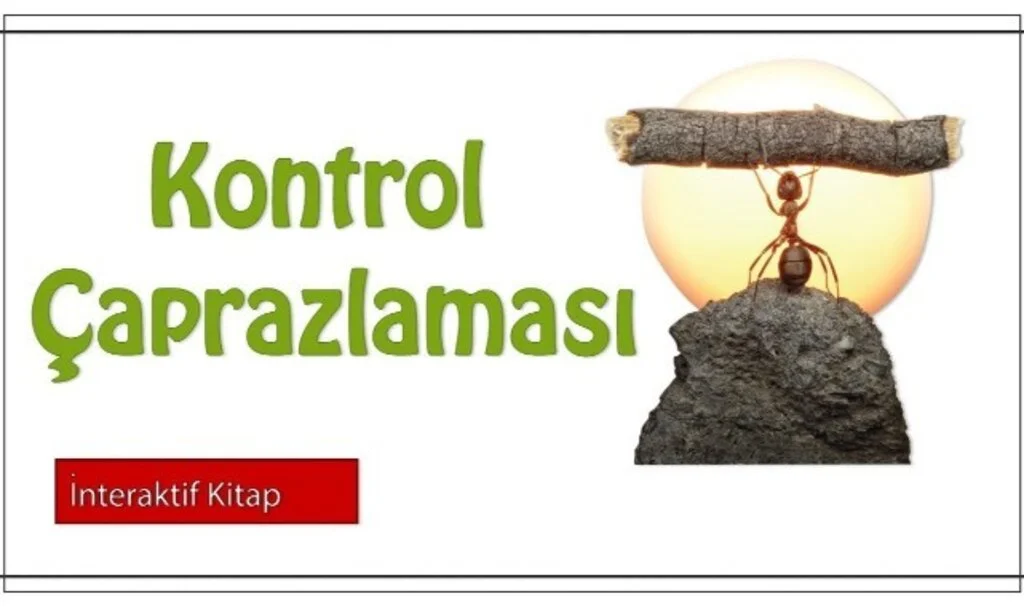 Kontrol Çaprazlaması Nedir