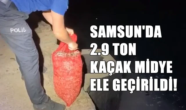 Samsun'da 2.9 Ton Kaçak Midye Ele Geçirildi!